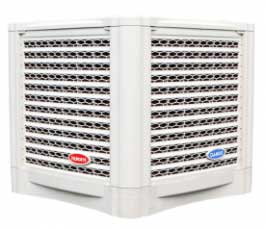 DK-30000TX-265x230 DK-30000TX-265x230